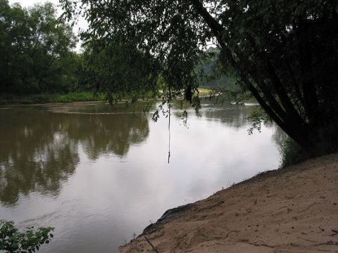 2000 Jeep Grand Cherokee - A rope swing hangs over a calm river, with trees lining the opposite bank and a sandy shore in the foreground.