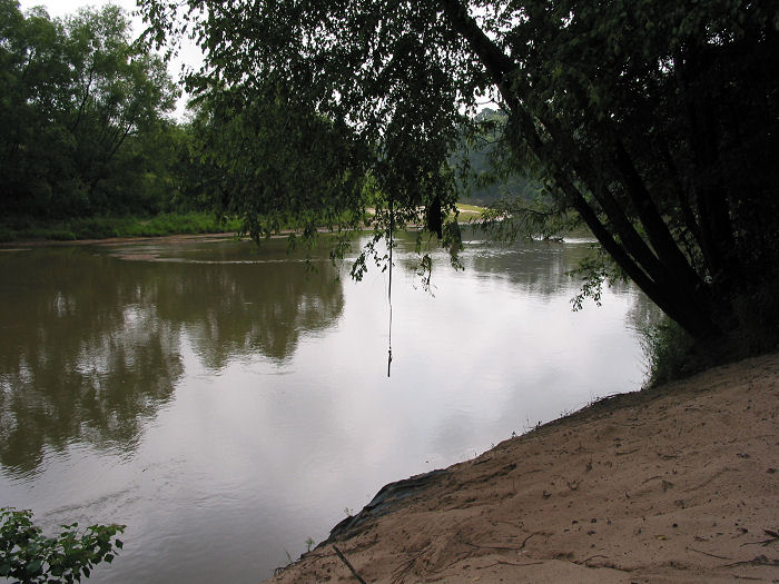 River scene with a rope swing hanging from a tree branch over the water, sandy bank in foreground