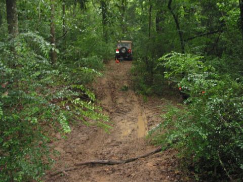 2000 Jeep Grand Cherokee - A Jeep Wrangler navigates a challenging muddy off-road path through a dense forest, with another vehicle partially obscured by foliage.