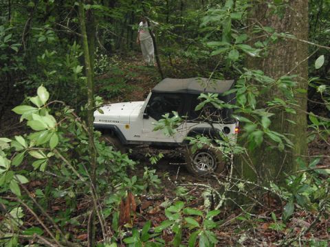 2000 Jeep Grand Cherokee - Jeep Wrangler Rubicon navigating a wooded trail.