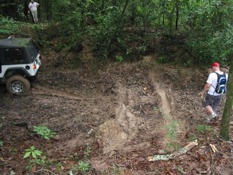 2000 Jeep Grand Cherokee - A Jeep Wrangler navigates a muddy, wooded path, leaving deep tire tracks in the dirt.