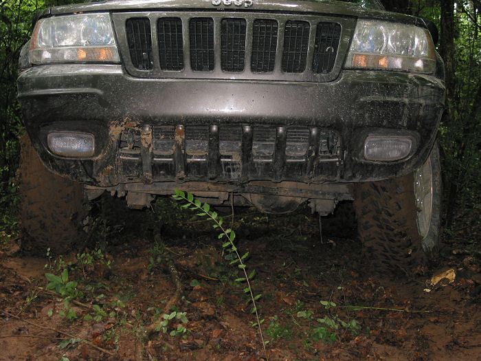 Front view of a muddy 2000 Jeep Grand Cherokee stuck in dirt and foliage