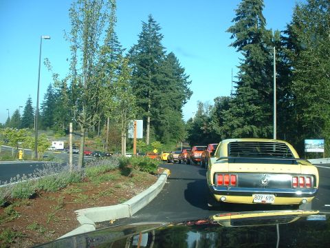 1999 Ford Crown Victoria - Row of Mustangs waiting to enter the show.