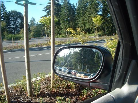 1999 Ford Crown Victoria - More Mustangs behind me.