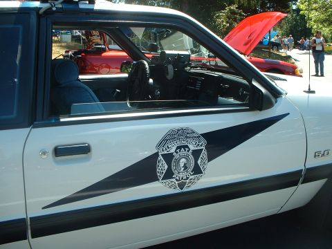 1999 Ford Crown Victoria - Close up of the decal.
