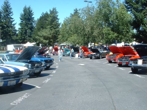 1999 Ford Crown Victoria - More rows of 60s and 70s Mustangs. Just a small sample of how many attended.