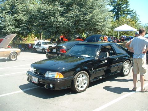 1999 Ford Crown Victoria - Nice '93 Cobra.