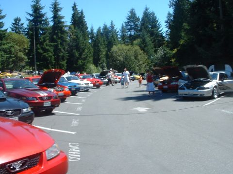 1999 Ford Crown Victoria - Small sample of the row of '99-04 Mustangs on the left and '94-98s on the right.