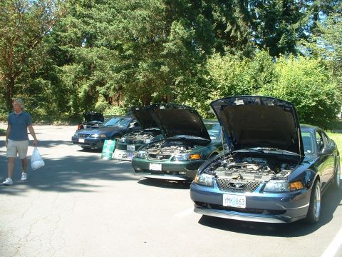 1999 Ford Crown Victoria - Some friends Bullitt Mustangs.