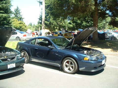 1999 Ford Crown Victoria - A dark blue Ford Mustang coupe is parked with its hood open at a car show, alongside other vehicles.