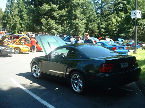 1999 Ford Crown Victoria - A dark green Ford Mustang is parked at an outdoor car show with its hood open, surrounded by other vehicles.