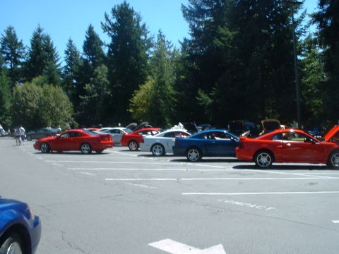 1999 Ford Crown Victoria - More '99-04 Mustangs.