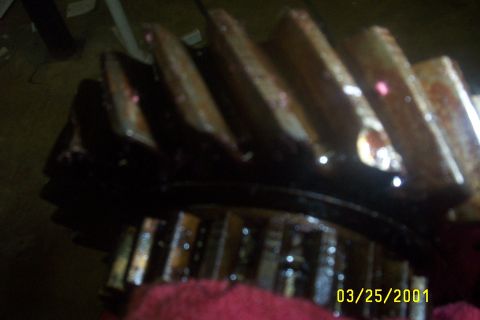 1979 Ford F-150 - Close-up of greasy gears, likely from a transmission or differential. Date stamp visible.