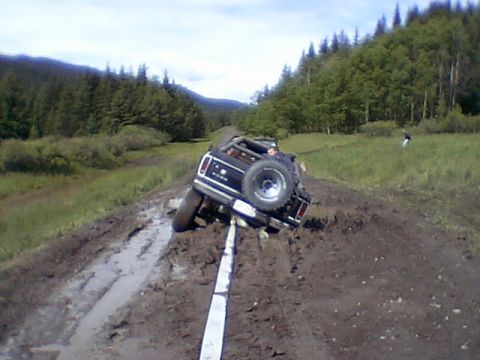 1979 Ford Bronco photo