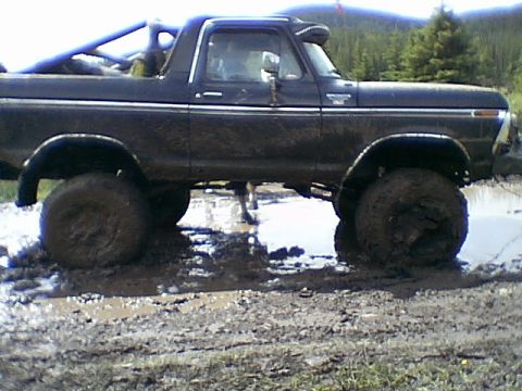 1979 Ford Bronco photo