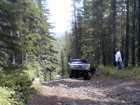 1979 Ford Bronco photo