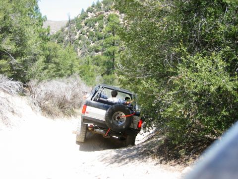 1985 Ford Bronco - A 1985 Ford Bronco navigates a dusty, tree-lined trail.