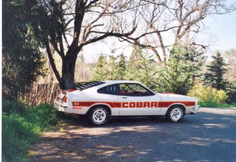 1978 Ford Mustang II - White 1978 Ford Mustang II Cobra with red stripe details and 'COBRA' text on the side.