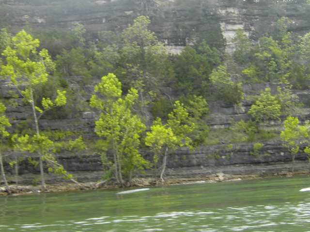 Layered limestone bluff with green trees above lake water