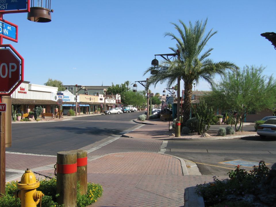 Street with shops, palm trees, and parked cars under a clear blue sky