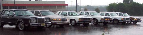1985 Ford LTD Crown Victoria - A line of sedans, including a black Lincoln and several white Ford Crown Victorias, are parked on wet asphalt.