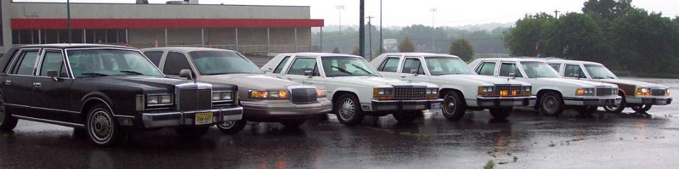 Several sedans parked in a row on a wet day. The front car is black, followed by a tan car, and then several white sedans. The white sedans appear to be Ford Crown Victorias