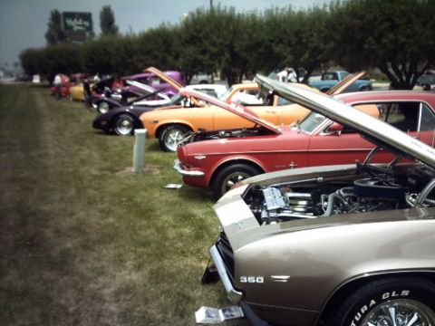 1995 Ford Probe - Several vintage cars are lined up on a grassy field, their hoods open, at an outdoor event. A sign for Holiday Inn is visible in the distan…