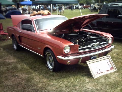 1995 Ford Probe - A red 1965 Ford Mustang Fastback is displayed with its hood open at an outdoor car show.