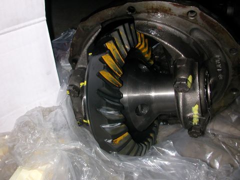 1984 Ford Bronco - Close-up view of differential gears, likely for a vehicle overhaul.