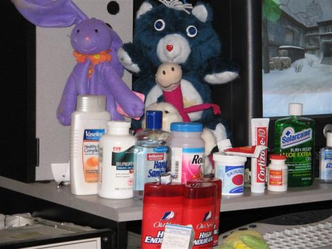 2001 Ford Taurus - A collection of personal care items and plush toys are arranged on a shelf.