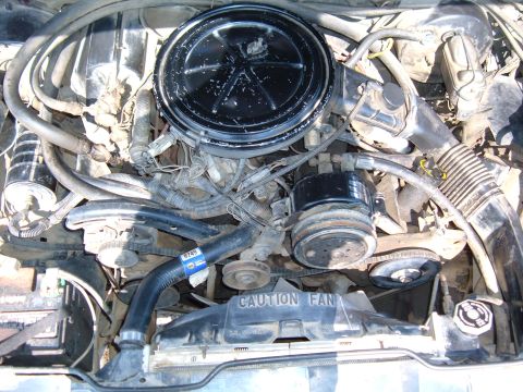 1985 Ford Bronco II - Close-up view of a vehicle's engine bay, showing various components and hoses.