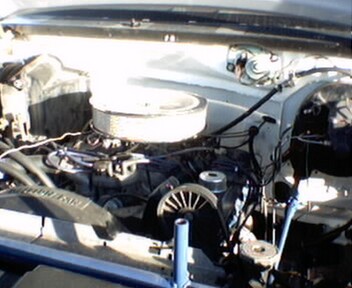 1981 Ford Bronco - Engine bay of a 1981 Ford Bronco showing the V8 engine and associated components.