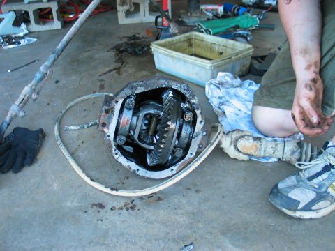 1995 Ford Bronco - A removable differential third-member/carrier sits face-up on a garage floor with the cover off, exposing the ring gear, carrier and bearin…
