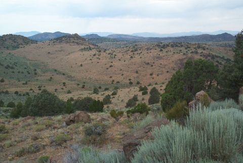 1986 Ford Bronco - A vast, arid terrain stretches out with rolling hills and sparse vegetation under an overcast sky.