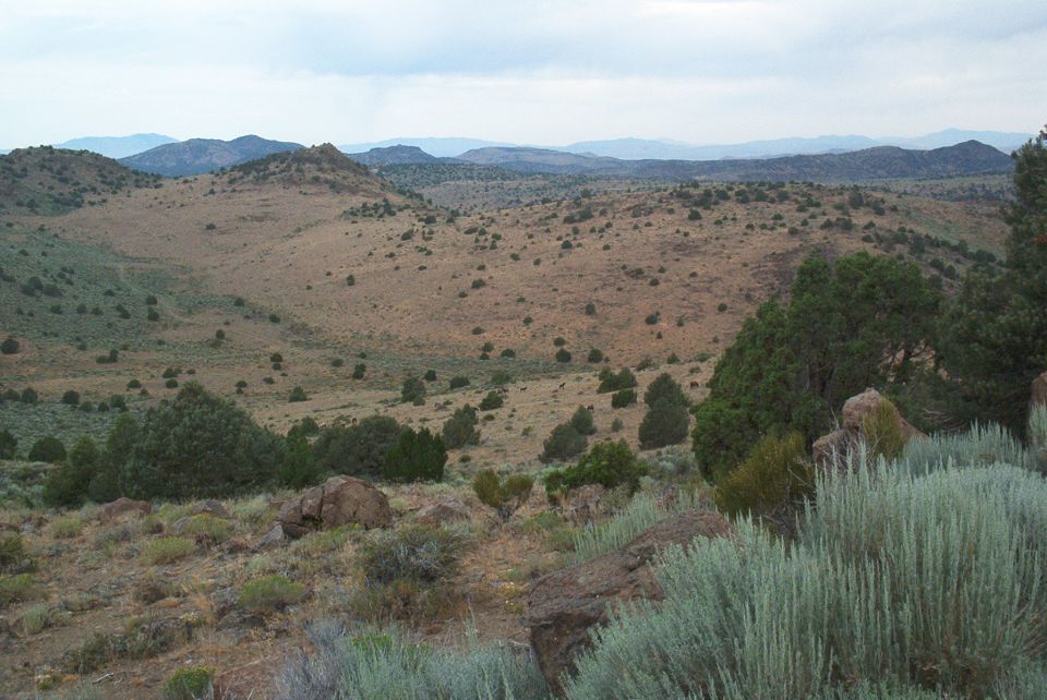 Wide view of a dry, hilly landscape with scattered bushes and trees under a cloudy sky. There's a website watermark at the bottom right