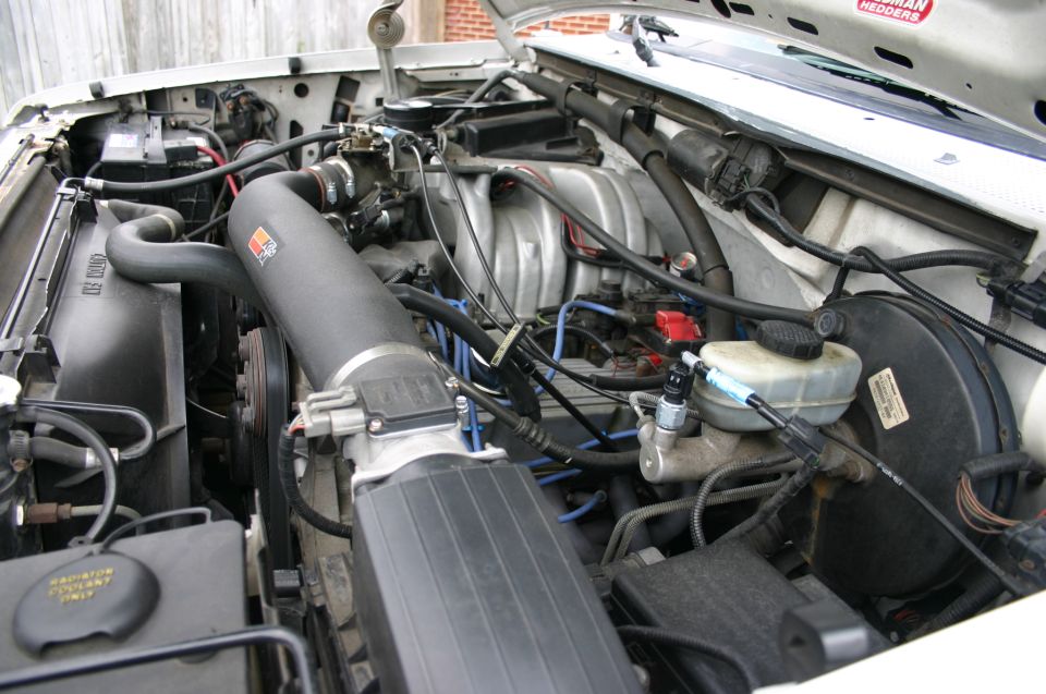 Ford V8 engine bay with aftermarket intake tube and blue plug wires