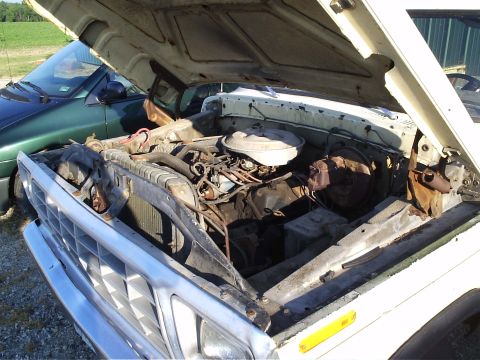 1979 Ford F-150 - The engine bay of a white truck, showing its V8 engine and open hood, with another vehicle partially visible.