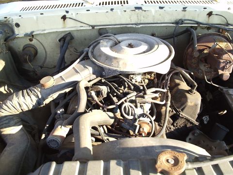 1979 Ford F-150 - The engine bay of a 1979 Ford F-150, its V8 engine and air cleaner assembly.