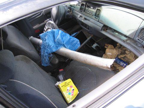 1991 Ford LTD Crown Victoria - The interior of a car shows a yellow emergency response guidebook and a large pipe covered in blue tarp.