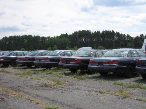 1991 Ford LTD Crown Victoria - A line of Ford Crown Victorias are parked outdoors under a cloudy sky.