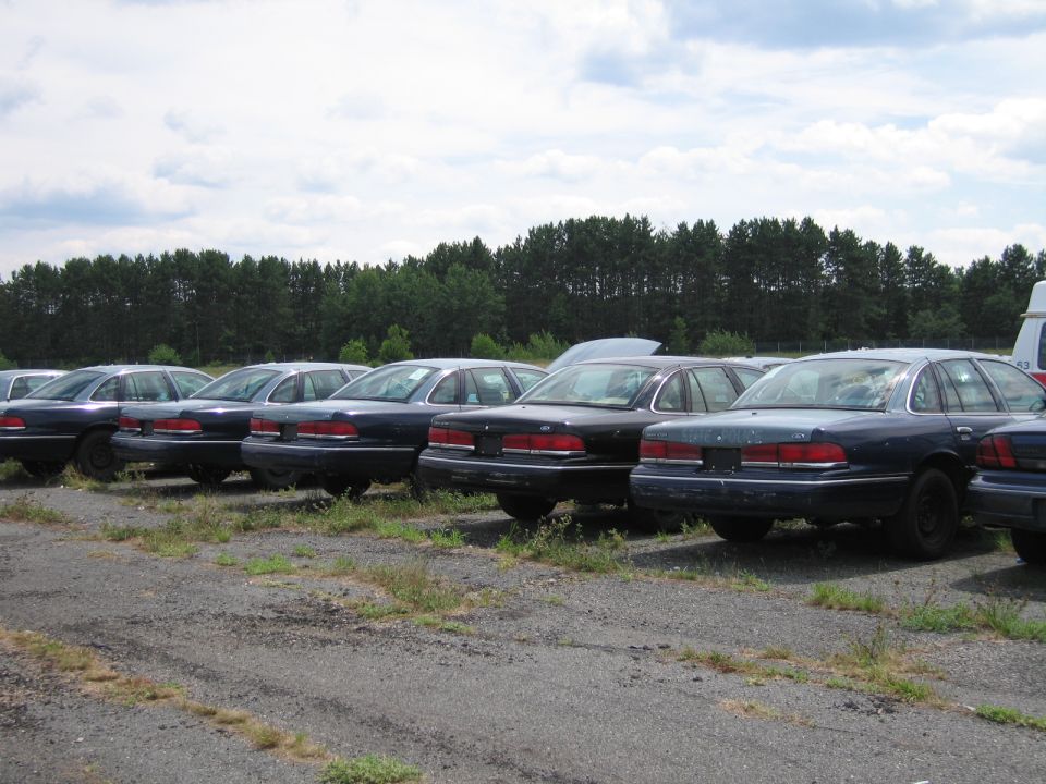 Several dark blue Ford Crown Victorias parked in a lot