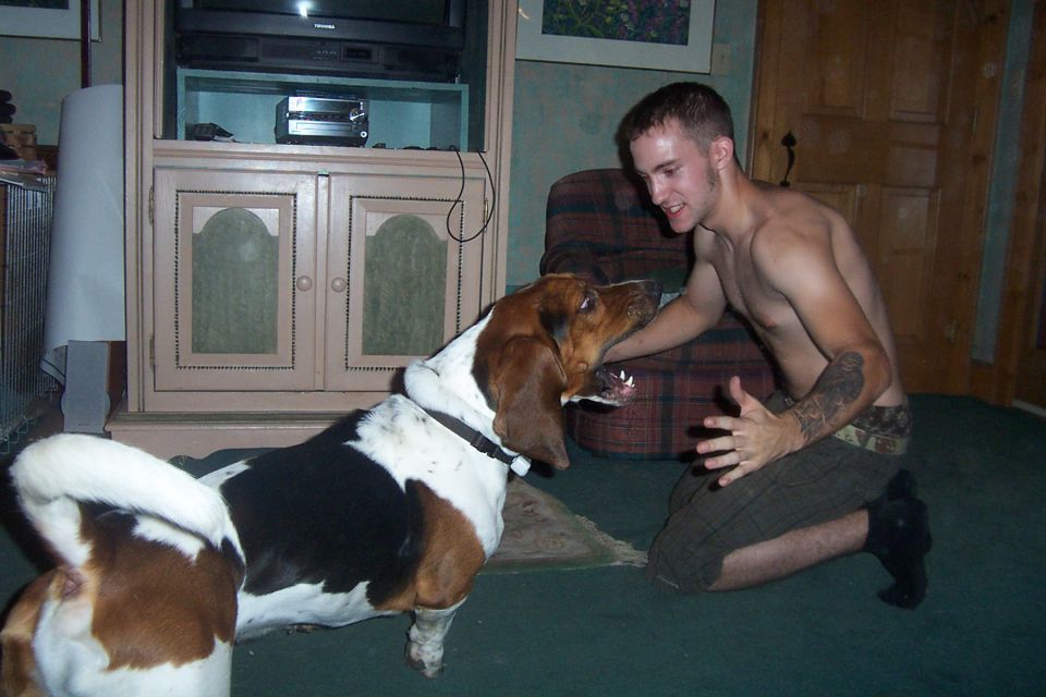 Man interacting with two basset hounds indoors, with furniture and a television in the background