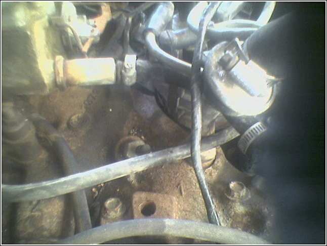 Engine bay hoses and metal components