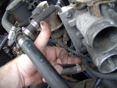 1986 Ford Bronco - Next off came the two 3/8" heater pipe hoses and their clamps. You can see one of the 4 10mm bolts that hold on the throttle body in the pi…