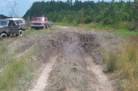1988 Ford Bronco - Two trucks navigate a challenging muddy trail surrounded by dense woods.