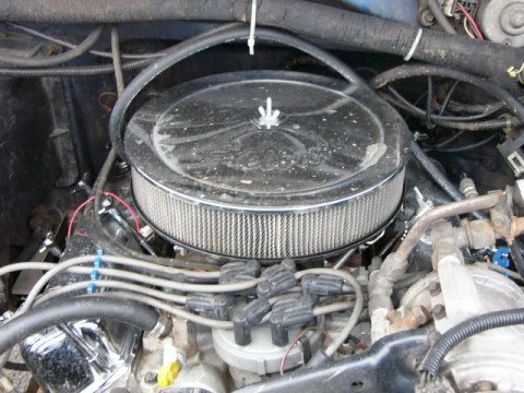 1986 Ford Bronco photo