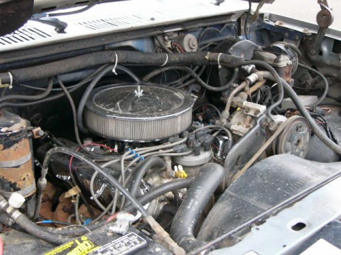 1986 Ford Bronco photo