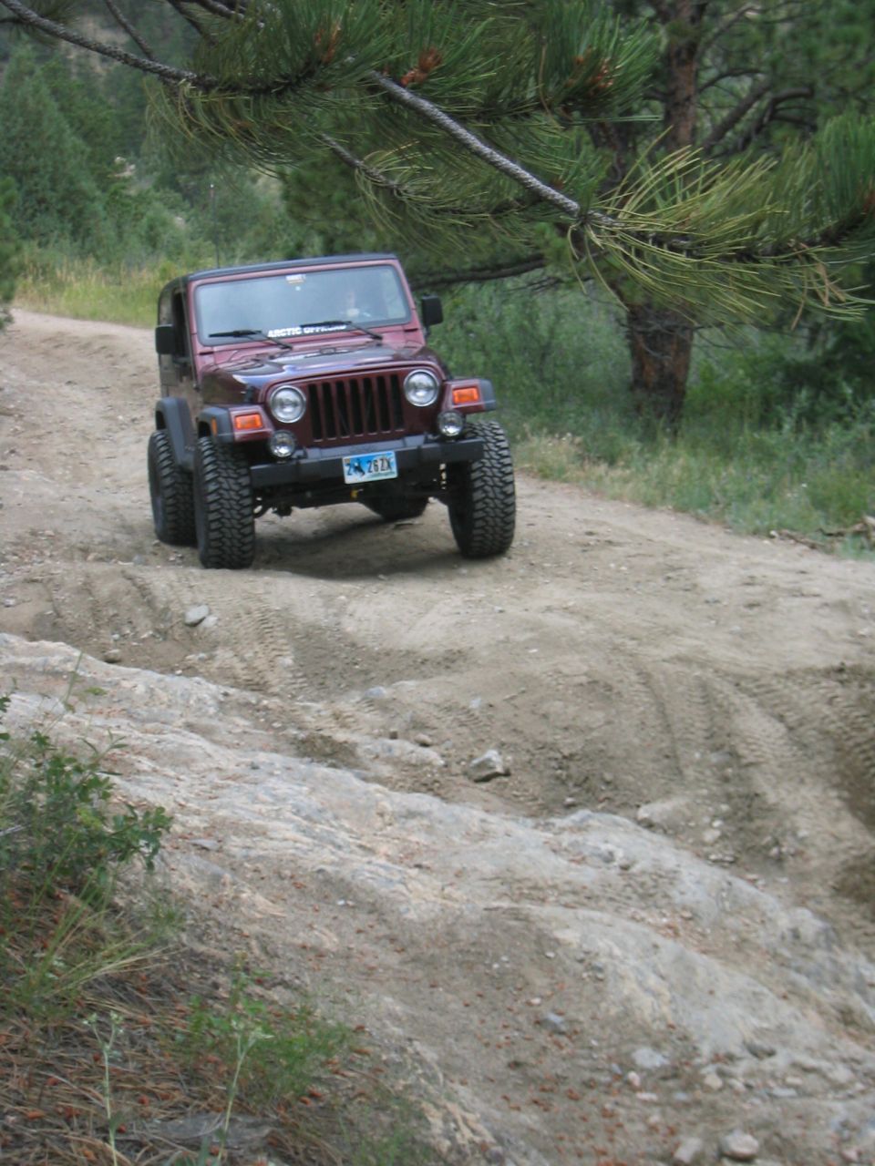 Red Jeep Wrangler driving on a dirt trail with trees around