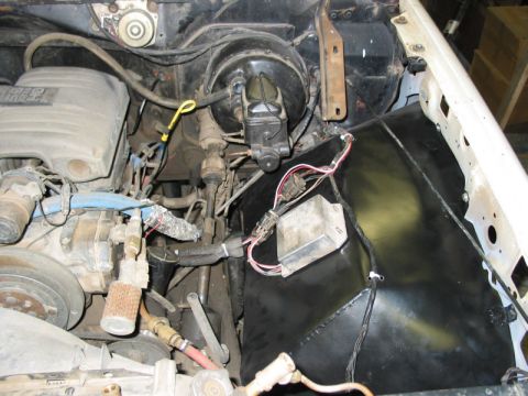 1981 Ford Bronco - Left side inner fender.