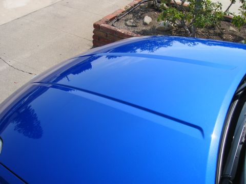 1990 Ford Probe - The glossy blue hood of a car features a distinct central body line, reflecting the surrounding environment.